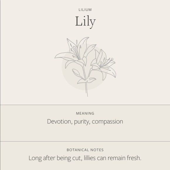 Lily May Birth Flower Engraved Dainty GiftNecklace - Picture 6 of 15